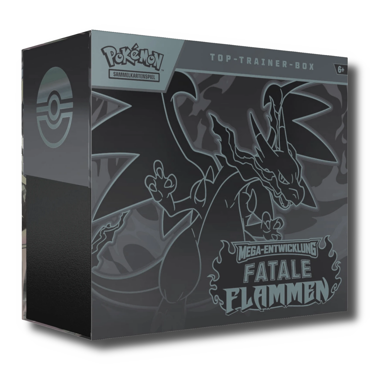 Fatale Flammen Top-Trainer Box